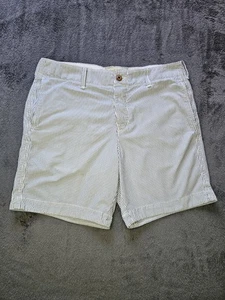Hollister California Men's Chino Shorts Blue Stripe Size 33 - Picture 1 of 12