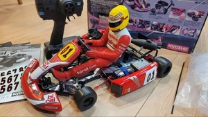 Birel R31-se Ready Set Engine Car Kart Racing Chassis Go Kart Race Ready - Picture 1 of 20