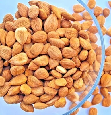 NATRURAL HIMALAYAN SWEET APRICOT KERNELS NON-BITTER EDIBLE SEEDS FAST DELIVERY✅️ - Image 1 of 3