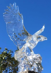 PRINCESS HOUSE - BALD EAGLE - EXQUISIT DETAIL - WONDERS OF THE WILD - NEW - Picture 1 of 1