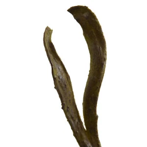 28’’ faux Branch Single Stem Decor Natural Set Of 12 - Picture 1 of 3