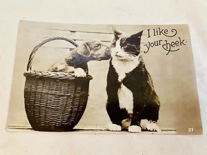 Postcard Sepia RPPC W.E. Mack London Puppy & Cat Photo Postcard #636 - Picture 1 of 2