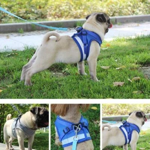 Pet Chest Strap Soft Vest Dog Puppy Harness Collar Lead Leash Adjustable XS,M,XL - Picture 1 of 7