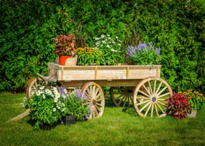 10x8ft Spring Garden Flowers Wood Carriage Background Vinyl Studio Backdrop LB - Picture 1 of 10