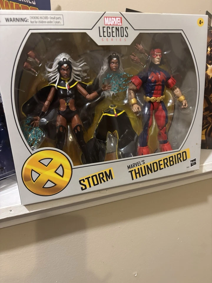 Figuras de acción Hasbro Marvel Legends Series Storm and Thunderbird ~ NUEVO ~ LEER Foto 1 de 1