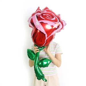 Celebrations Love Romance Convey Wishes Party Air/Helium Foil Decor Balloons - Picture 1 of 21