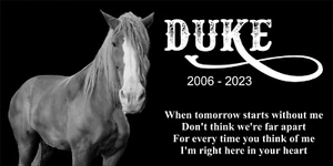 Personalized Pet Stone Memorial Grave Marker Granite Human headstone Horse cat - Picture 1 of 24