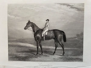 Impresión antigua de 1841; coronación, ganador del Derby 1841 después de F.C. Turner - Imagen 1 de 2