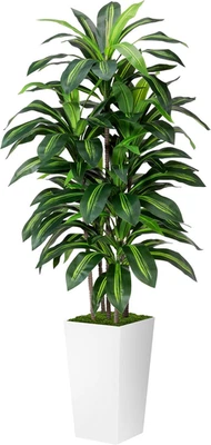 Planta Dracaena Artificial Interior 5FT - Árbol Falso con Maceta Alta Blanca - Imitación  Foto 1 de 4
