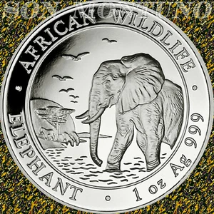 2010 SOMALIA - African Wildlife ELEPHANT - 1 Troy Oz .999 Silver Coin in Capsule - Picture 1 of 1