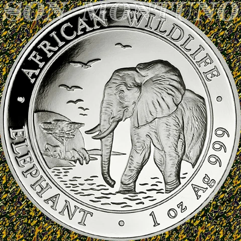 2010 SOMALIA - African Wildlife ELEPHANT - 1 Troy Oz .999 Silver Coin in Capsule Cover