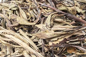 Mancha de incienso suelta en racimo de yerba Santa NessaStores California (1 lb) #JC-62 - Imagen 1 de 4