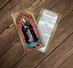 Saint John Berchmans laminated Catholic Holy Prayer Cards - Picture 1 of 3