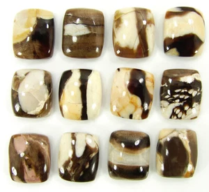 52.3 Ct Natural Peanut Wood Jasper Gemstone 10x12 mm Cushion Cab 12 Pc Lot-60664 - Picture 1 of 5
