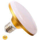 Security Night Light PIR Motion Activated Bulbs Motion Sensor Night Lamp