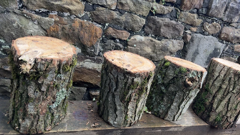 Tree Stumps 1ft/1ft Rustic Home/gardan Furniture.  ⭐️ BUY 4 GET 1 FREE⭐️￼ - Image 1 of 4