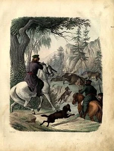1852 LIBRO DEL MONDO HC LITOGRAFIA caccia all'alce - Foto 1 di 2