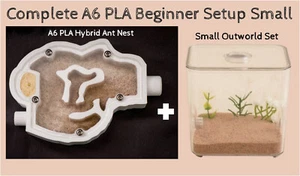 Ant Farm Nest Formicarium Housing A6 Ant Bio Complete Ant Setup Best Ants UK - Picture 1 of 9