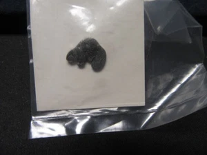 Silver Beaver Lapel Pin, Pewter, with Pewter Scout Emblem   c14 - Picture 1 of 1