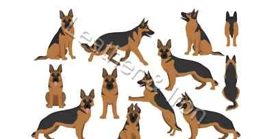 Nueva cubierta de chequera de vinilo para perro pastor alemán negro y marrón Foto 1 de 2