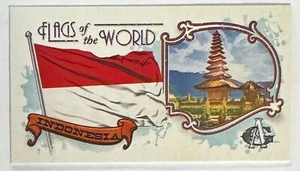 Indonesia [Mini] 2024 Topps Allen & Ginter Flags of the World #FOTW-45 NM+ - Bild 1 von 1