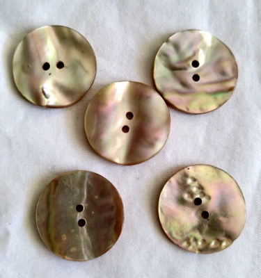 5 Perlmuttknöpfe Jackenknöpfe Blusenknöpfe Hemdknöpfe 23mm Perlmutt Knöpfe - Bild 1 von 4