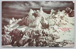 Elliott Glacier at Mount Hood Oregon Postcard - Picture 1 of 2