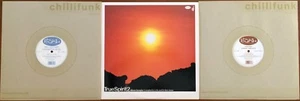 CHILLIFUNK RARE 3x 12" DJ VINYL Lot VACEO - DINO & TERRY - FRANCOIS KEVORKIAN - Imagen 1 de 10
