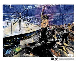 JSA AUTOGRAPHED Roman Reigns - Rob Schamberger 11 x 14 Poster - Hand Signed - Picture 1 of 1