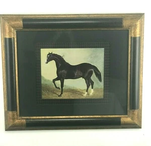 Thoroughbred Horse Print Framed & double matted 20.75"H x 24.75" W - Black Horse - Picture 1 of 11