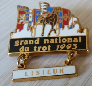 PIN'S SPORT EQUITATION CHEVAL GRAND NATIONAL DU TROT LISIEUX STARPIN'S 93 - Foto 1 di 1