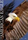 The American Eagle by Pezzenti, John