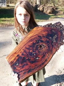 Authentic Old Growth Ancient Pecky Burl Sinker Cypress Wood Cookie Wall Art USA - Picture 1 of 11