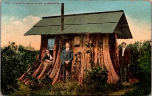 CABIN in CEDAR STUMP Washington WA unused Postcard - Picture 1 of 2