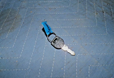 KAWASAKI KZ1000 KZ900 CABEZA DE LEÓN LEÓN CRESTA LLAVE #791 Foto 1 de 2