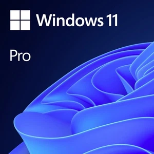 Microsoft Windows 11 Pro OEM Vollversion, 1 Lizenz  Englisch Betriebssystem - Bild 1 von 1