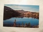 Wyoming Mirror Lake Medicine Bow national forest WY Postcard