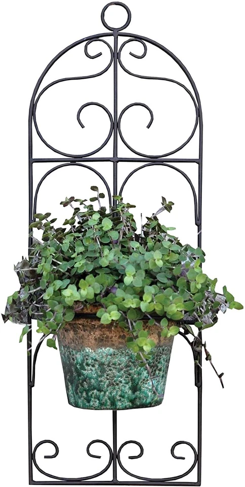 Single Plant Pot Wall Mounted Planter for Outdoors in Black Metal - Image 1 of 1