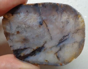 WRG- Montana Agate Slab 30 grams Lapidary Old Stock - Picture 1 of 6