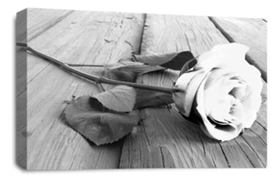 Floral Wall Art White Living Room Bedroom Framed Canvas Picture Ready to Hang - Picture 1 of 6