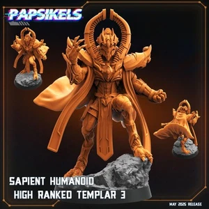 Sapient Humanoid High Ranked Templar - 3 - Picture 1 of 2