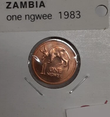 1983 Zambia One Ngwee Copper Clad Steel Coin  Uncirculated - Image 1 of 2