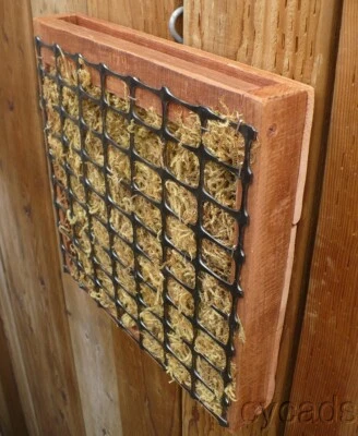 1 natural redwood 12inch staghorn fern or succulent wall planter - Image 1 of 4