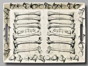 NEW John Derian Threshold Bone To Pick Melamine Halloween Serving Tray 19"x14" - Picture 1 of 2