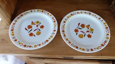 Lot de 2 anciennes assiettes plates Arcopal Tulipe - Photo 1/4
