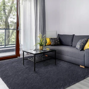 Area Rugs for Bedroom Living Room, 3X5 Ft Solid Fluffy Shaggy Rug, Small Washabl - Picture 1 of 12