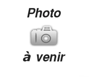 ACTIFRY SEB 1 KG de Frites sans Huile - juste une cuillérée d'huile TBE - Afbeelding 1 van 8