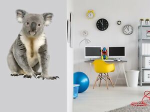 3D Cute Big Koala 085NA Animal Wallpaper Mural Poster Wall Stickers Decal Zoe