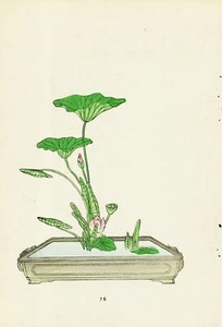 Arreglos florales japoneses - Impresiones en bloques de madera - Escuela Ikenobo (76) - Imagen 1 de 2