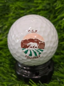 *unknown* Golf Course Logo Golf Ball - Bear Logo - Picture 1 of 2